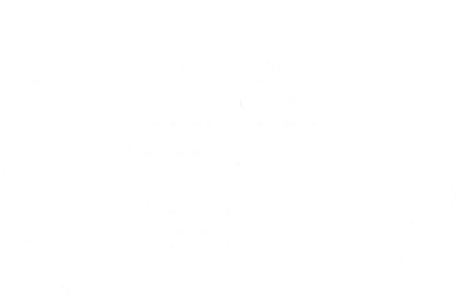 Mejor guion, 13.º Noida International Film Festival, Noida, India · 2026